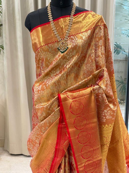 Golden Coral Radiance