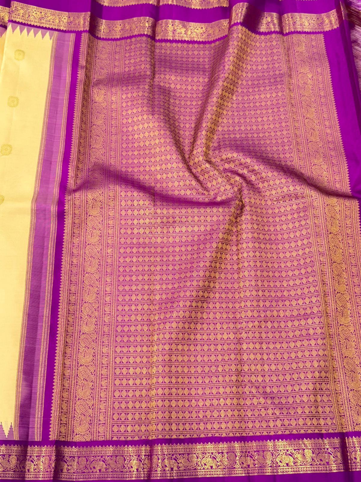 Golden Whisper Ivory Silk Splendor