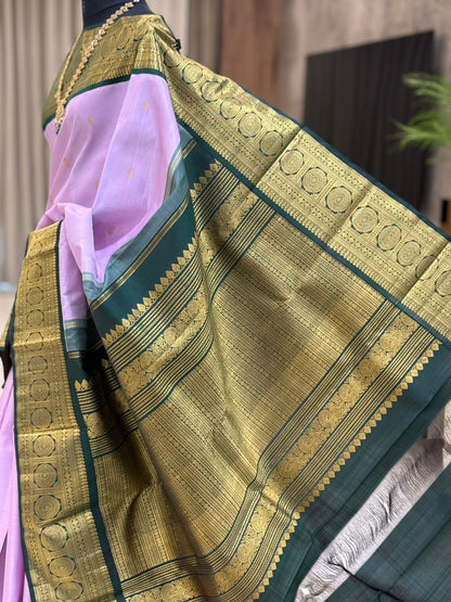 A Vision of Elegance