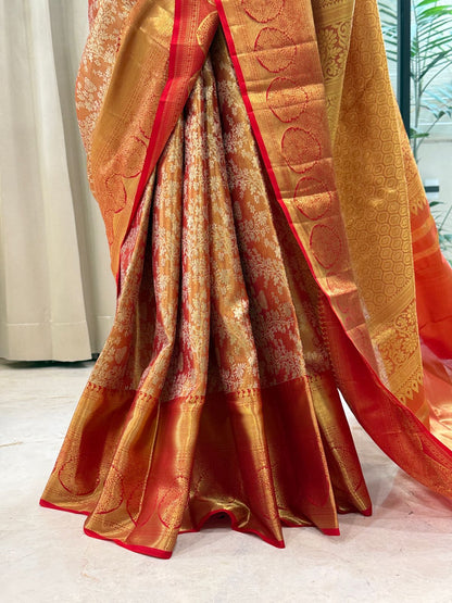 Golden Coral Radiance