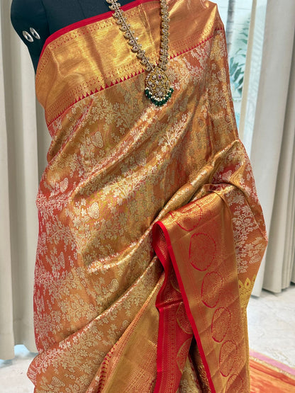 Golden Coral Radiance