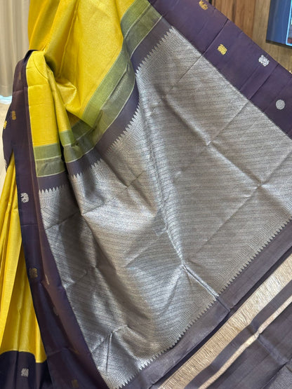 Greenish Yellow Vairaoosi Brown Border