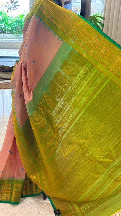 Regal Blush Gadwal Silk